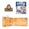 Box Charkha Wheel Package -Sewing Supplies Store CHA 0090b 96302.1689686662
