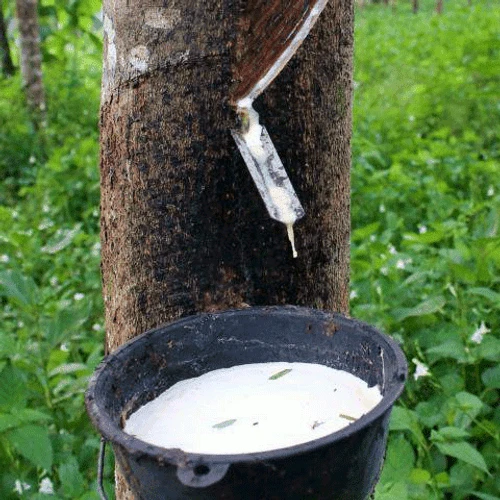 Saddle Seat Stool 6 Saddle Seat Stool - Image 4